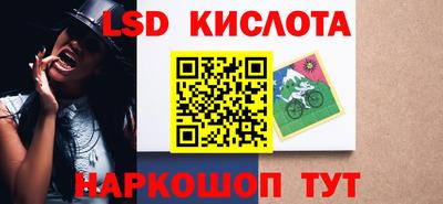 прущие грибы Вязники