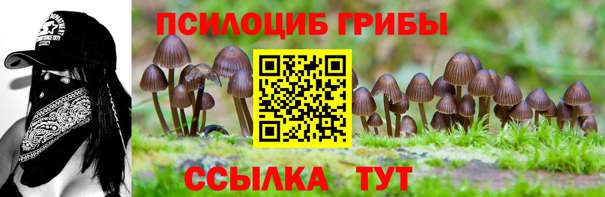 Галлюциногенные грибы ЛСД  Вход с VPN  Новочебоксарск  Псилоцибиновые грибы Magic Shrooms 